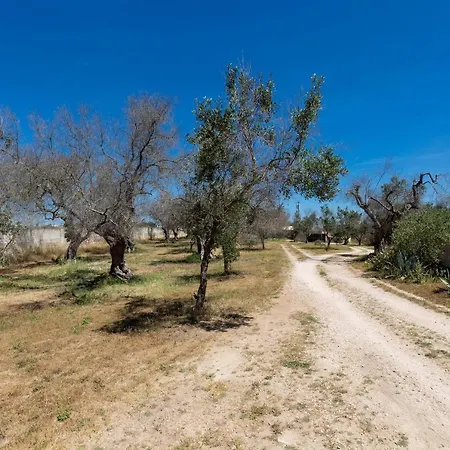 Tenuta Elisabetta By Barbarhouse Bed & Breakfast *